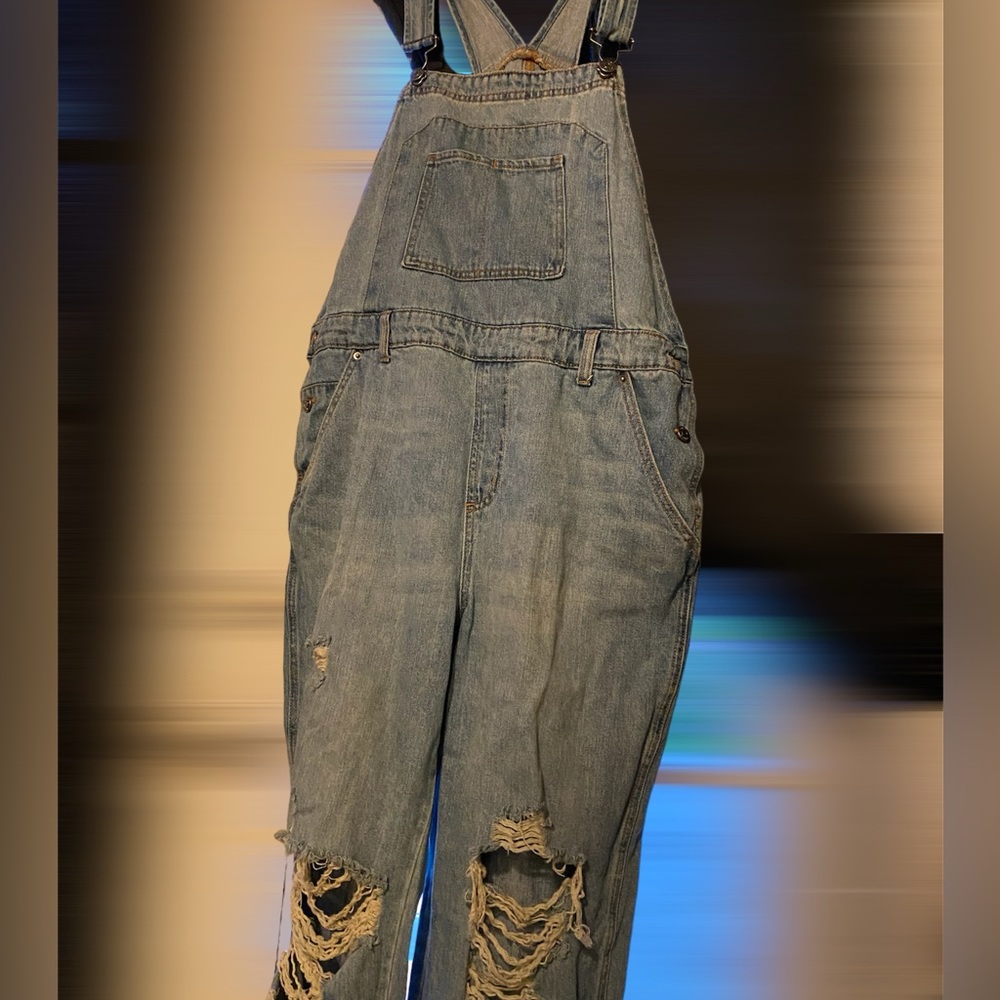 wild fable overalls large